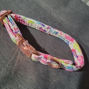 Puppy funny dog collar butterfly
